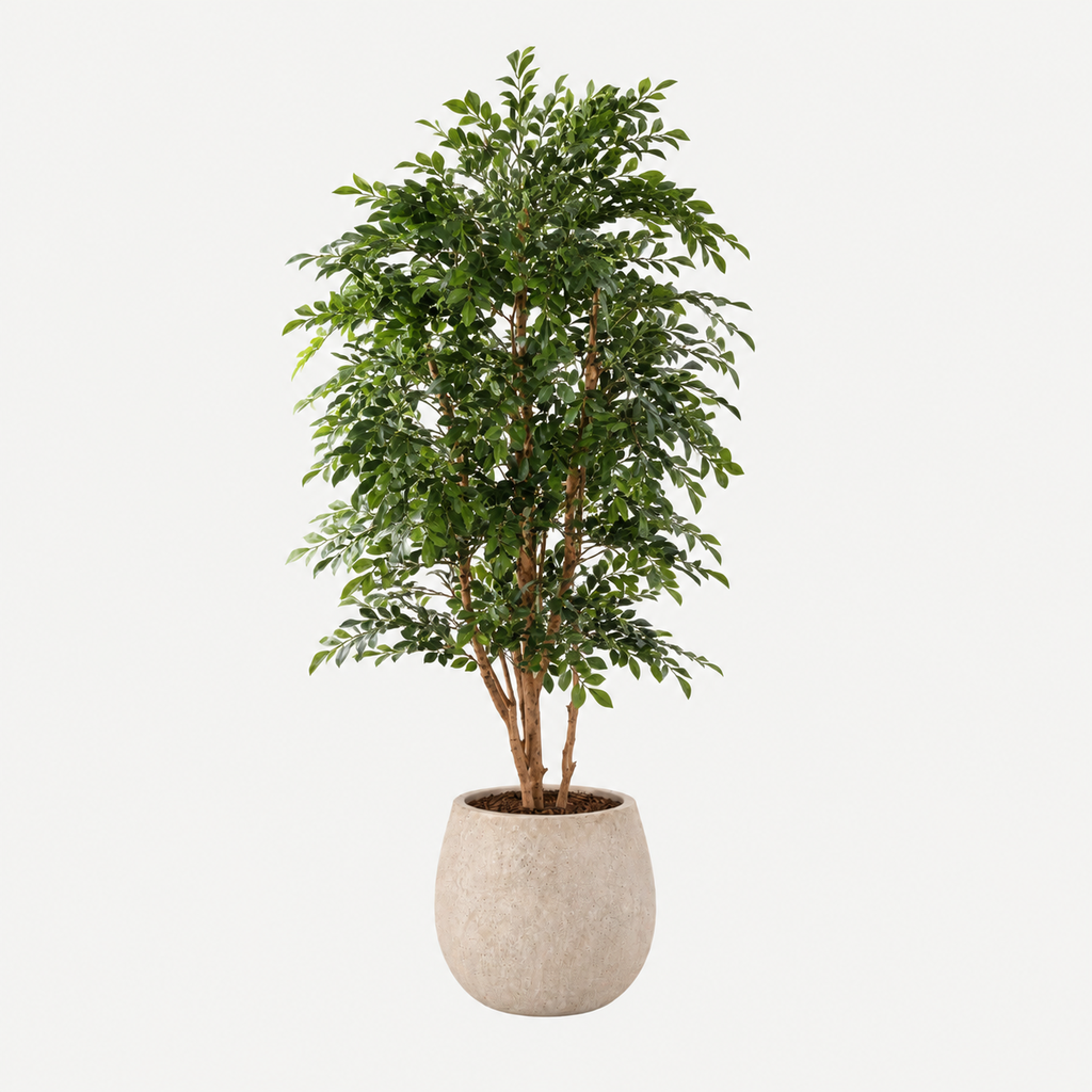 Murraye boom 170cm